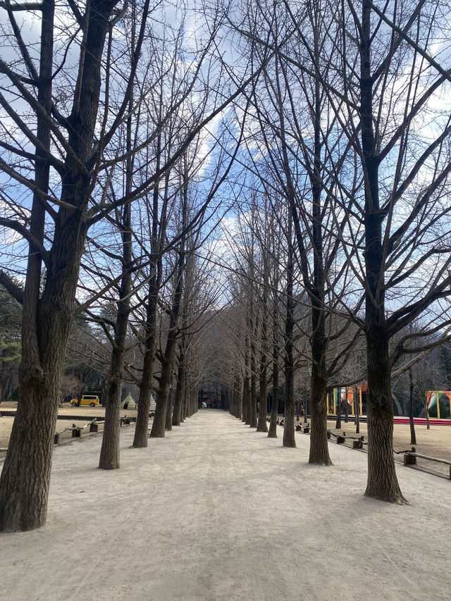 🌿 Nami Island ~ Where Nature Feels Like a Poem 🍂