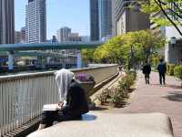 隱身大阪銀行街中的都市之肺/大阪中之島綠地公園
