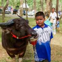 ถนนสายผลไม้ภูเก็ต
