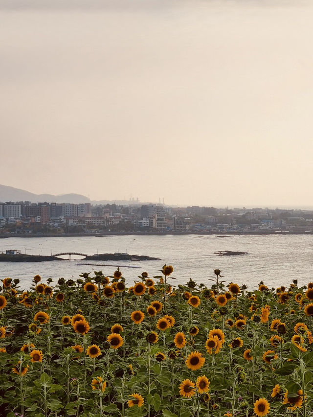 Perfect for Sunrise or Sunset Views Over the Ocean