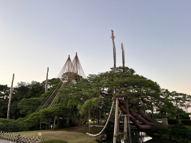 🍁漫步金澤兼六園：與光影共舞的日式秘境🌲💫