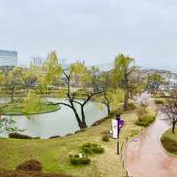 🏯 Walls of Time: A Stroll Through Suwon Hwaseong Fortress