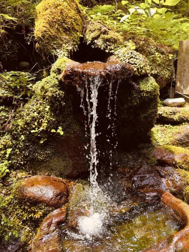 🌿 Solo Adventure: Shasui Falls – Tokyo’s Secret Waterfall Escape