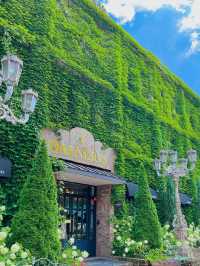 🇰🇷 Seoul Suburb Secret: A Real-Life Emerald Escape by the River 🌿