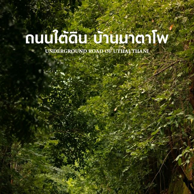 ถนนใต้ดิน บ้านนาตาโพ
