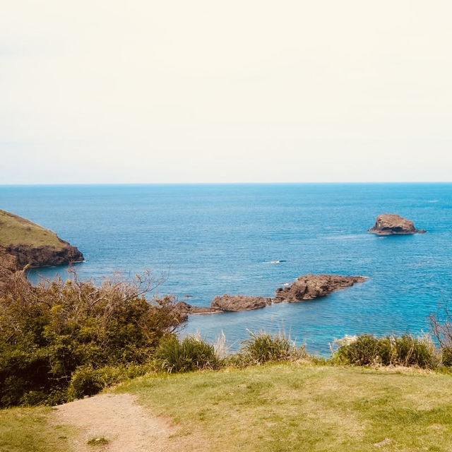 Futatsugame Beach: Shizuoka’s Secret Coastal Paradise – A Solo Traveler’s Escape"** 🌊🐢   