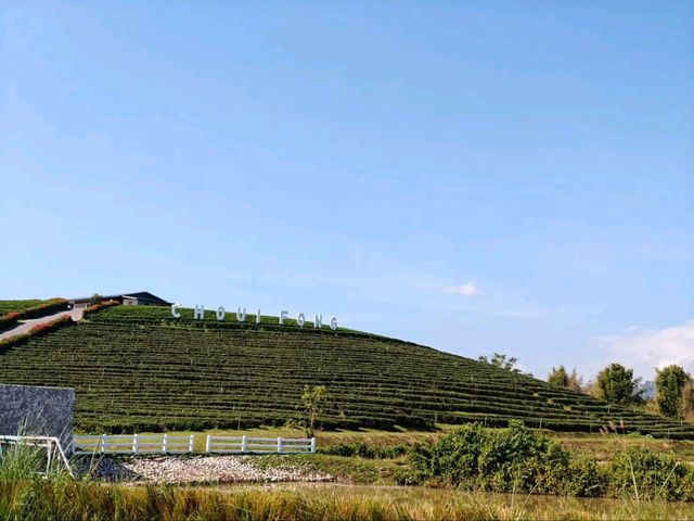 Tea with a View? Say Less! Choui Fong is Pure Bliss
