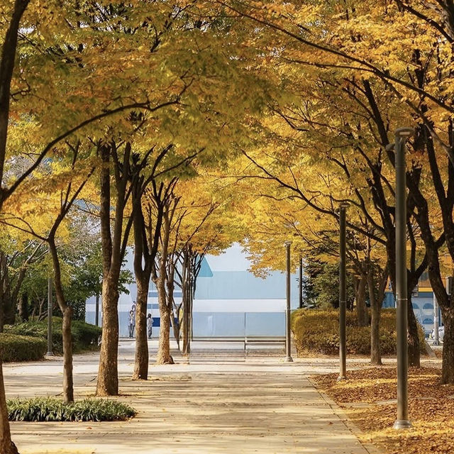 Seoul Forest Park: The Ultimate Urban Oasis for Solo Explorers"** 🌳🏙️ 
