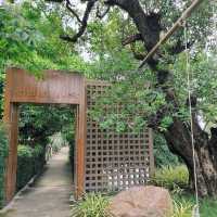 🌿☕️ Serene House Cafe ชลบุรี — โอเอซิสใจกลางเมือง
