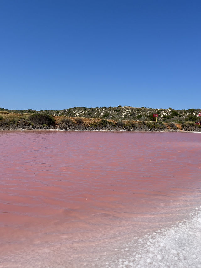 💗 Yes, the Lake Is Actually Pink — Western Australia’s Real-Life Barbiecore Dream 🌸🫧