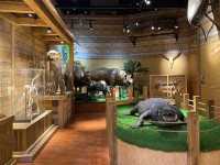 🧭 Ripley’s Believe It or Not! Adventureland — A World of Oddities at Genting Highlands