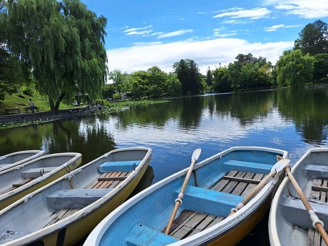 美景如畫-北海道常磐公園