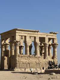 Waterlogged Gods & Soviet Lego: The Temple That Refused To Die