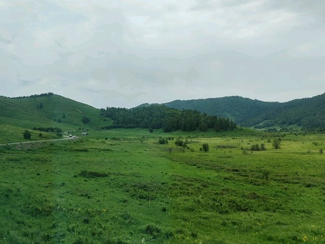 Hemu: A Serene Painting of Verdant Valleys