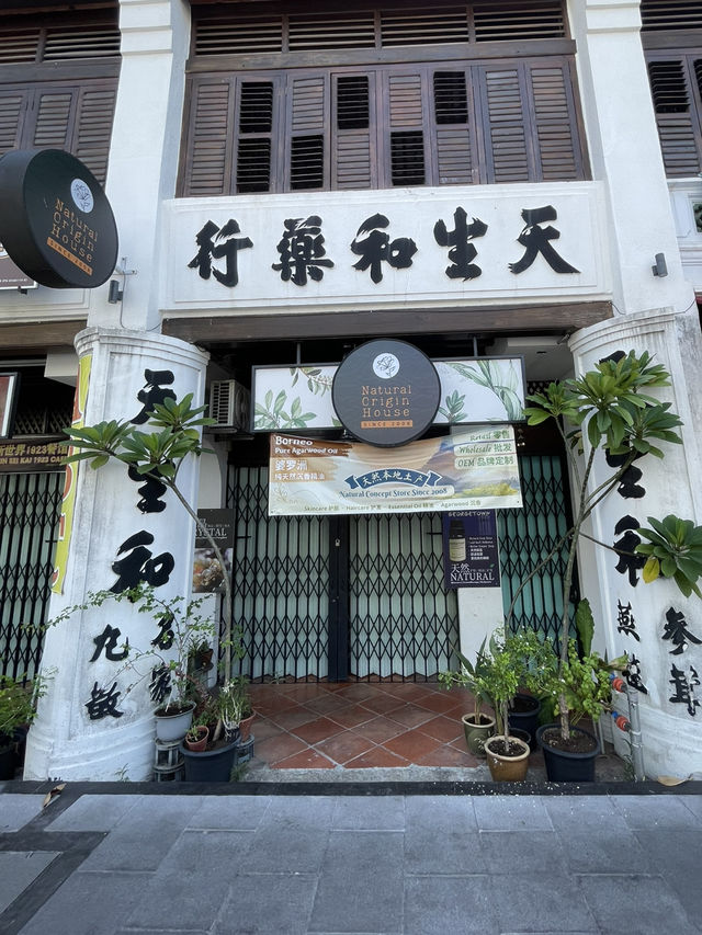 🌿《檳城自由行日記｜拉車穿街、老屋漫遊、泳池放空，慢慢品嚐米其林》