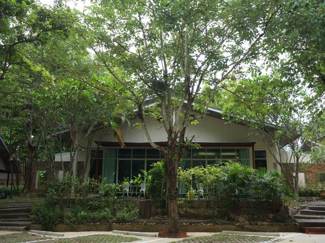 แวะมากอดธรรมชาติที่แก่งกระจาน Nana Resort