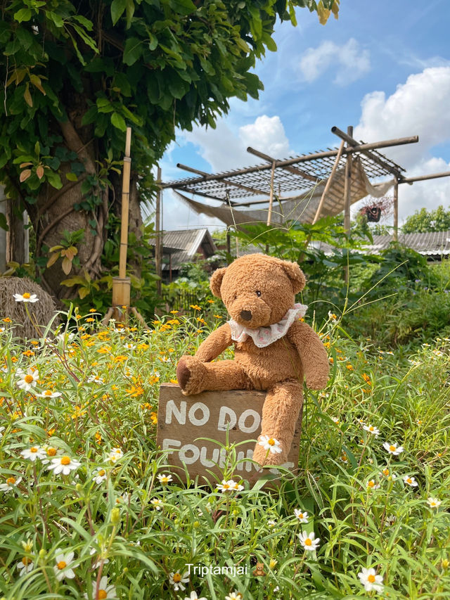 โฮมคาเฟ่ลำปางที่มีสวนดอกไม้น่ารักๆ 🧺🌼