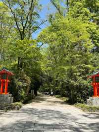 【下鴨神社】森と水に包まれる聖地🌿みたらし団子の発祥地で心清める旅