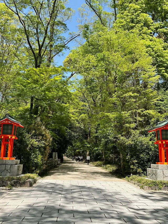 【下鴨神社】森と水に包まれる聖地🌿みたらし団子の発祥地で心清める旅