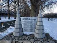 【メタセコイヤ並木｜滋賀県高島市 「一直線に続く木のトンネル。四季の移ろいを真っすぐ感じられる道」】