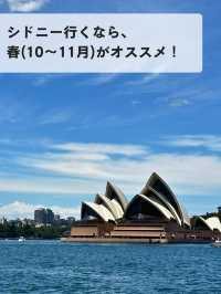 🌸春のシドニーが最高な理由