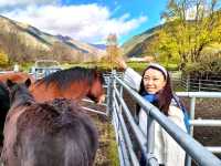 Vielha and Sant Maurici National Park my favourite in Spain