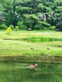 Prince Bay Park: Hangzhou’s Emerald Sanctuary