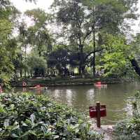 🎋 Chengdu People’s Park 成都人民公园 | A Window into Local Life