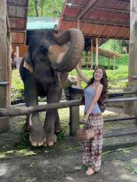 ปางช้างแม่สา🐘🍃