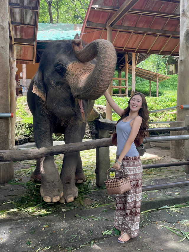 ปางช้างแม่สา🐘🍃