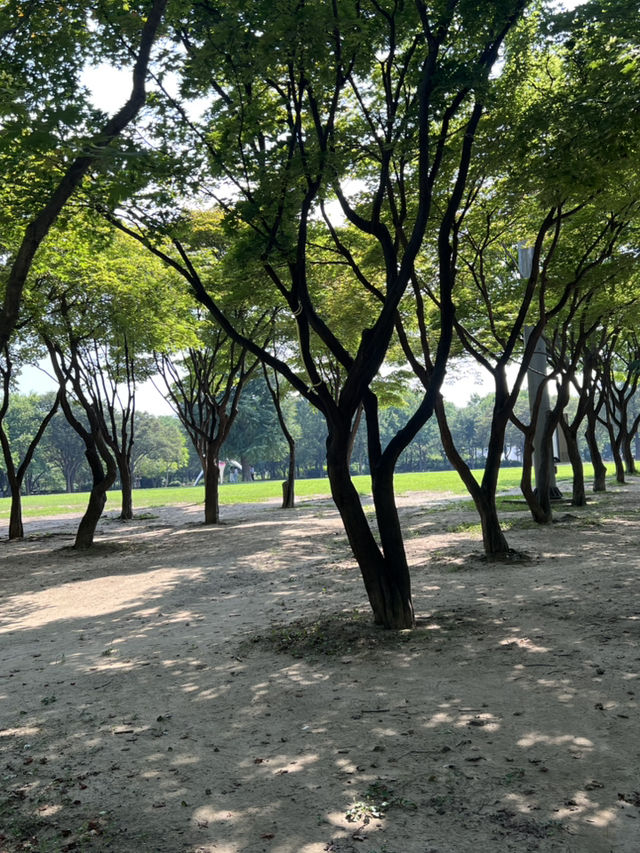 서울숲의 숲길들