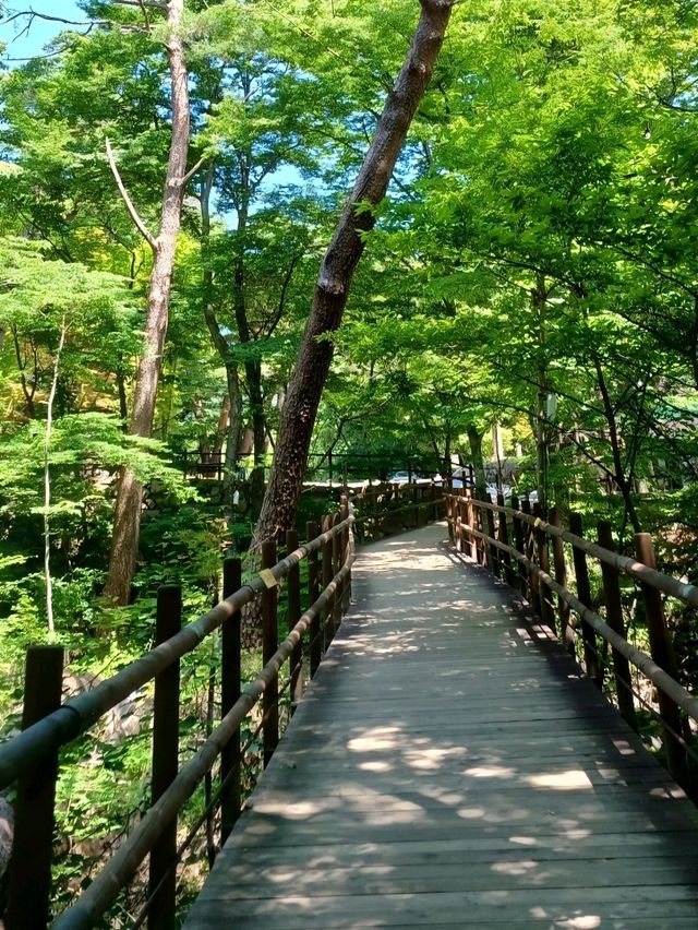 고요한 사색의 공간