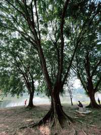 Taman Tasik Permaisuri: A Serene Escape for Morning Jogs and Relaxation