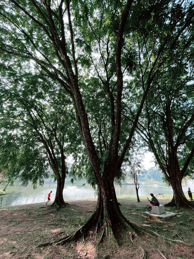 Taman Tasik Permaisuri: A Serene Escape for Morning Jogs and Relaxation