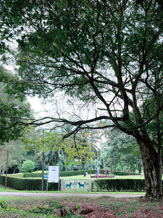 Sentul Depot – A Lush Urban Escape with Iconic Architecture & Cafés 
