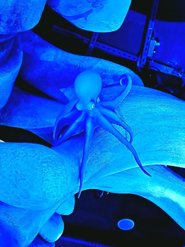Into the Deep: Where Giants Rest