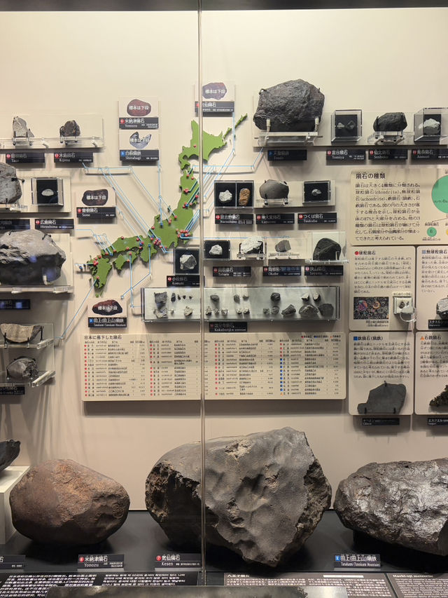 พิพิธภัณฑ์วิทยาศาสตร์โตเกียว 🐋🔭 Ueno Tokyo 