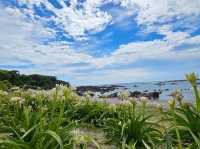 Seaside Educational Facility (Tenjin Island Rinkai Nature Education Garden) 