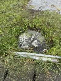  💧 阿蘇門前町・水基巡りとグルメ散策スナップ