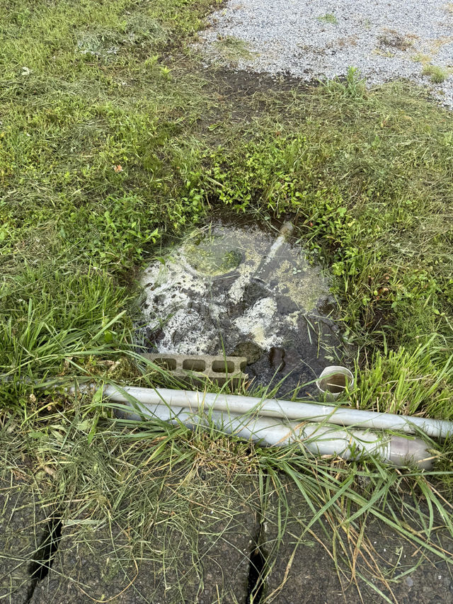  💧 阿蘇門前町・水基巡りとグルメ散策スナップ