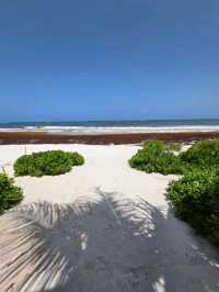 Jungle Trails and Beach Views at Parque del Jaguar