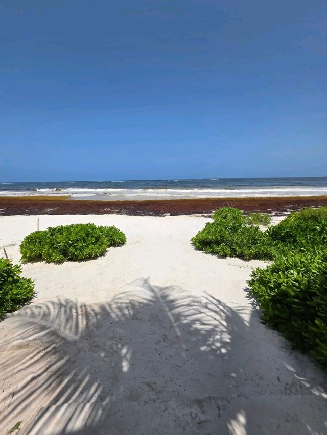 Jungle Trails and Beach Views at Parque del Jaguar