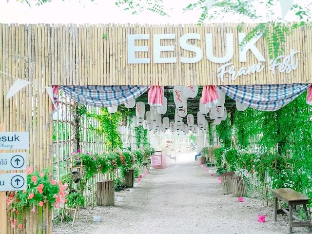 ไร่องุ่นมีสุข (Meesuk Farm Fest)