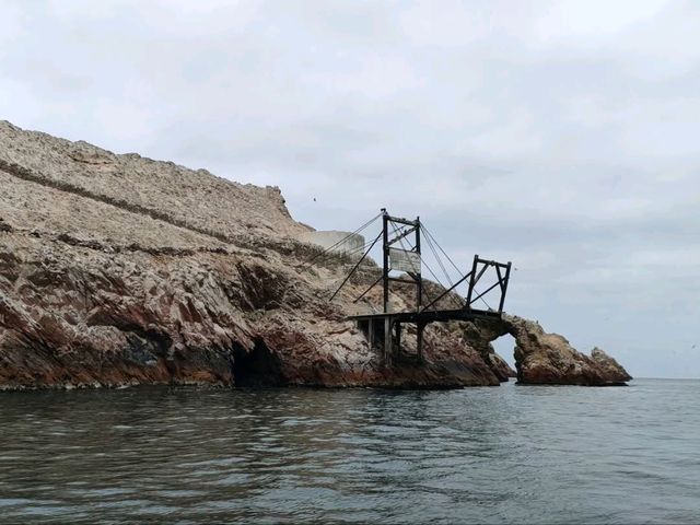 Coastal Breezes and Island Wonders of Paracas