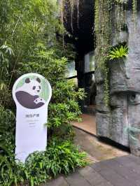 Panda Valley Dujiangyan