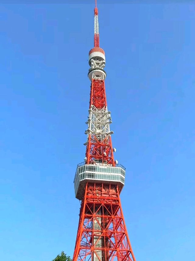 Stunning Sights of Tokyo Tower