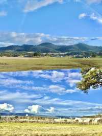 🚗 Scenic Road Trip – Tasmania