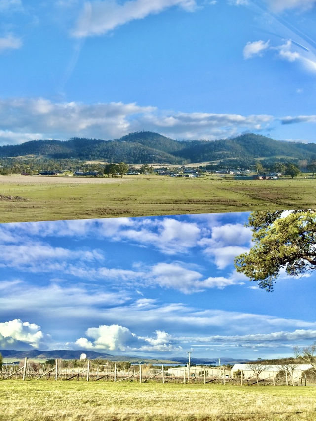 🚗 Scenic Road Trip – Tasmania  🚗 Scenic Road Trip – Tasmania