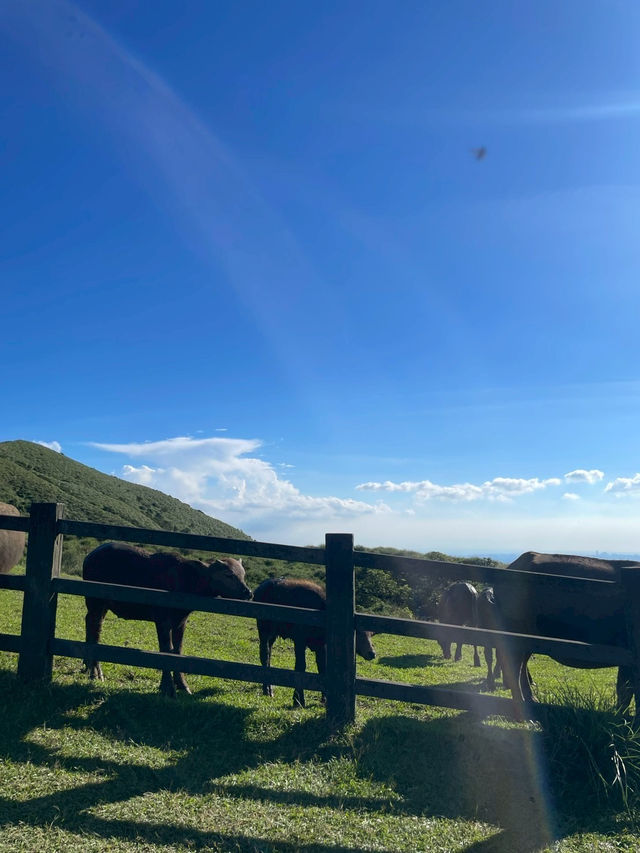 Yangmingshan National Park — TPE 🌳👣 Yangmingshan National Park — TPE 🌳👣