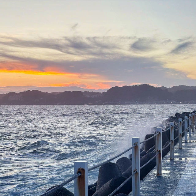 🌴 海辺のカフェリゾート体験 — Malibu Farm in 逗子マリーナ